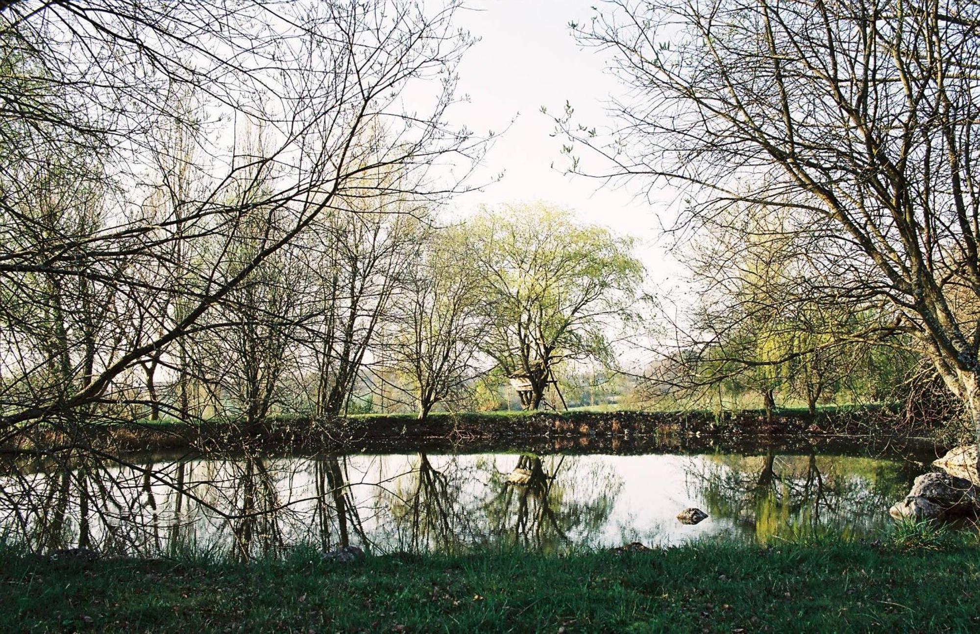 Bed and Breakfast Les Bertaulieres Bossay-sur-Claise Екстер'єр фото